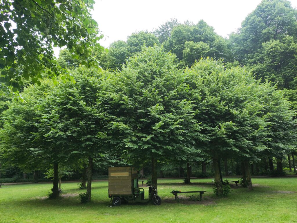 buitenborrelen